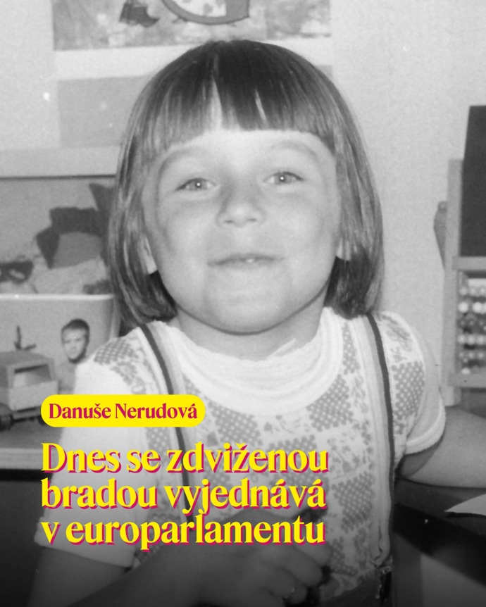 FOTO: „Dnes se zdviženou bradou vyjednává v europarlamentu,“ uvádí hnutí STAN na svém Instagramu k fotografii Danuše Nerudové.
