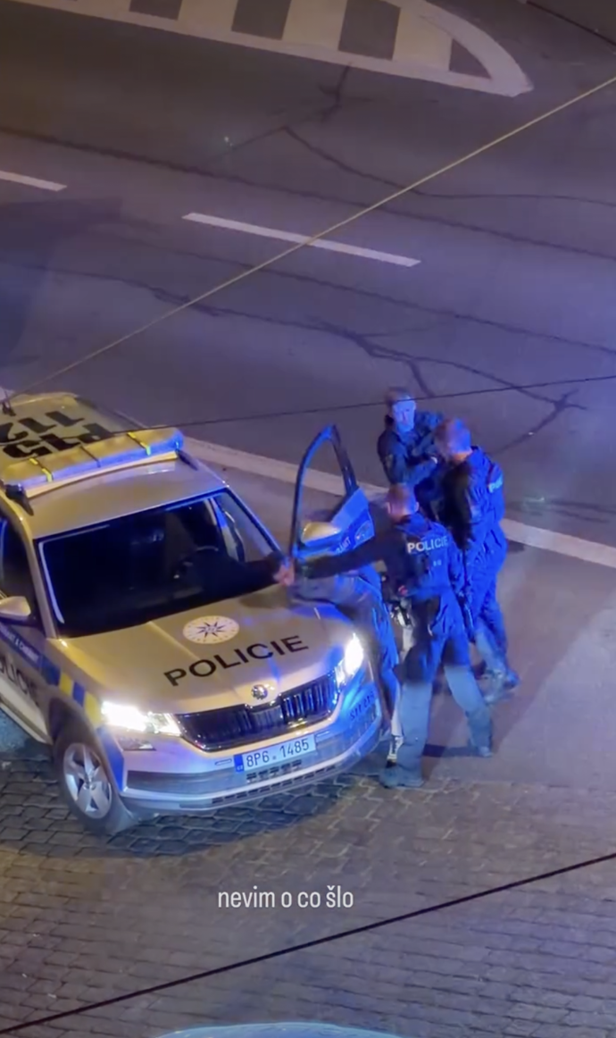 FOTO: Policisté muže zpacifikovali.
