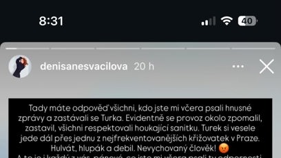 FOTO: Denisa Nesvačilová si nebrala servítky.