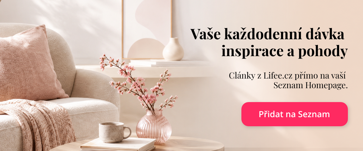 Seznam box
