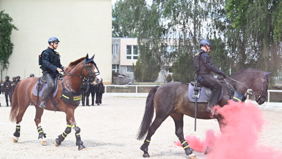 FOTO: Nácvik policejních hlídek na koních.