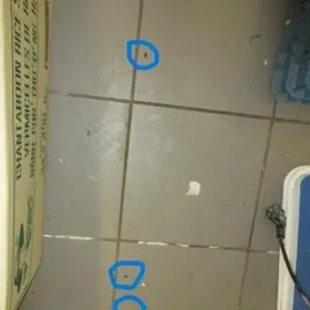 Znečištění a plno hmyzu všude.