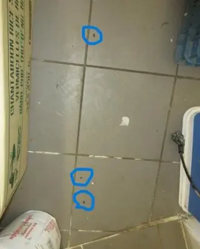 FOTO: Znečištění a plno hmyzu všude. – stránka 2