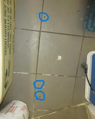 FOTO: Znečištění a plno hmyzu všude.