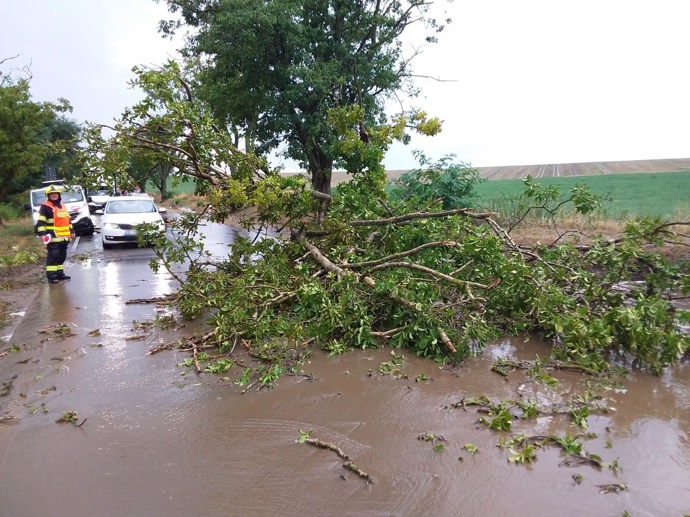FOTO: Popadané větve a stromy na některých místech zablokovaly komunikace. – stránka 1