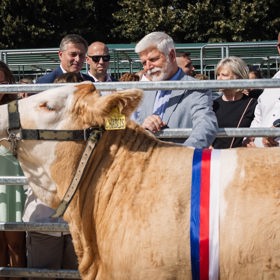 Prezident Petr Pavel se podíval na dobytek.
