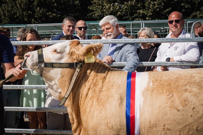 FOTO: Prezident Petr Pavel se podíval na dobytek. – stránka 75