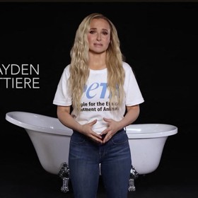 Hayden Panettiere natočila před dvěma týdny kampaň na záchranu zvířat.