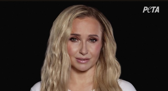 FOTO: Hayden Panettiere zemřela ve 36 letech.