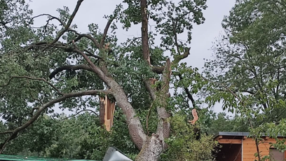 FOTO: Na místě museli zasahovat hasiči, stromy poškodily několik chatek v areálu.