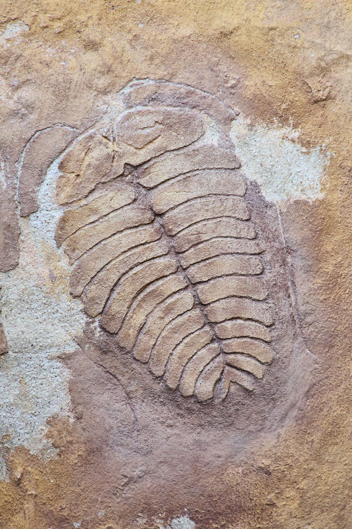 FOTO: Trilobit u restaurace Trilobit. – stránka 10