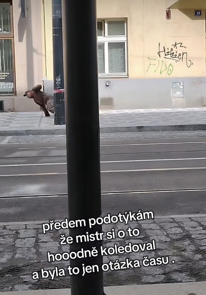 FOTO: Celý incident natočila na telefon kolemjdoucí a zveřejnila ho na Instagramu.