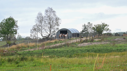 FOTO: Ustájení koní.