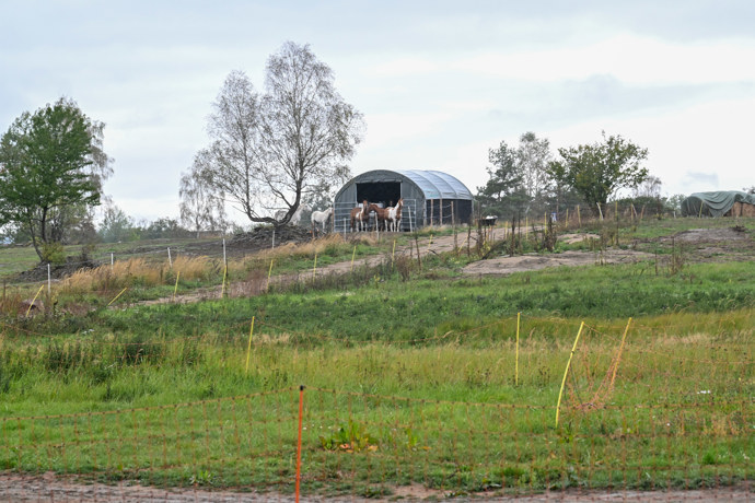 FOTO: Ustájení koní. – stránka 34