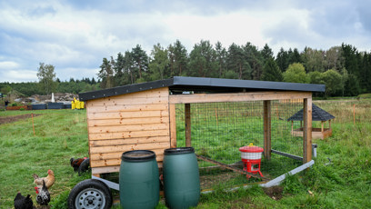 FOTO: Na farmě nechybí ani slepice s kohouty.