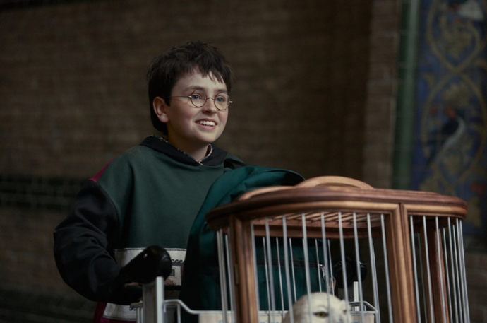 FOTO: Dominic McLaughlin jako nový Harry v seriálu Harry Potter. – stránka 3