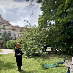 Alena Schillerová se v pražských Vojanových sadech pozdravila s pávy.