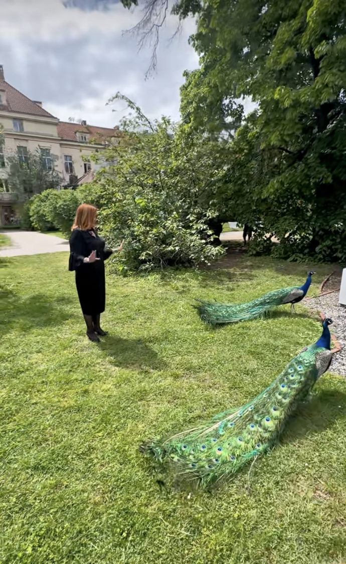 FOTO: Alena Schillerová se v pražských Vojanových sadech pozdravila s pávy. – stránka 1