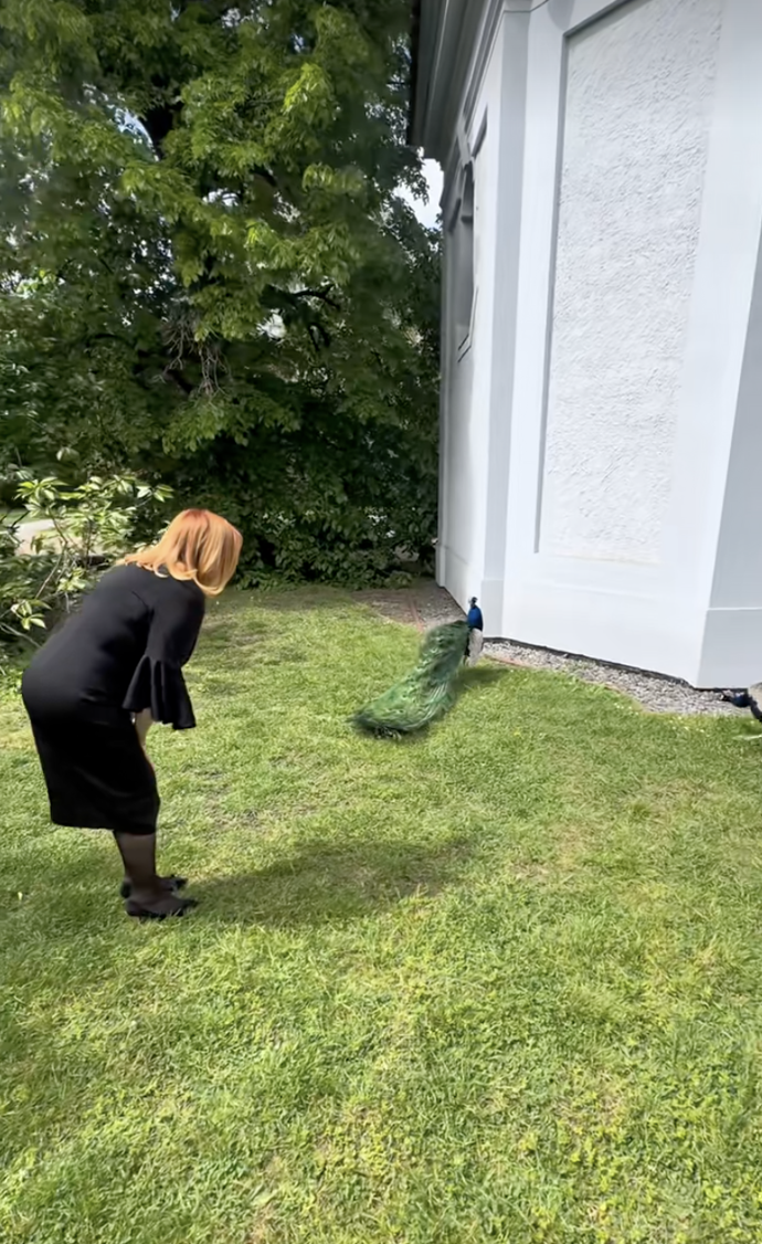 FOTO: Alena Schillerová se v pražských Vojanových sadech pozdravila s pávy.