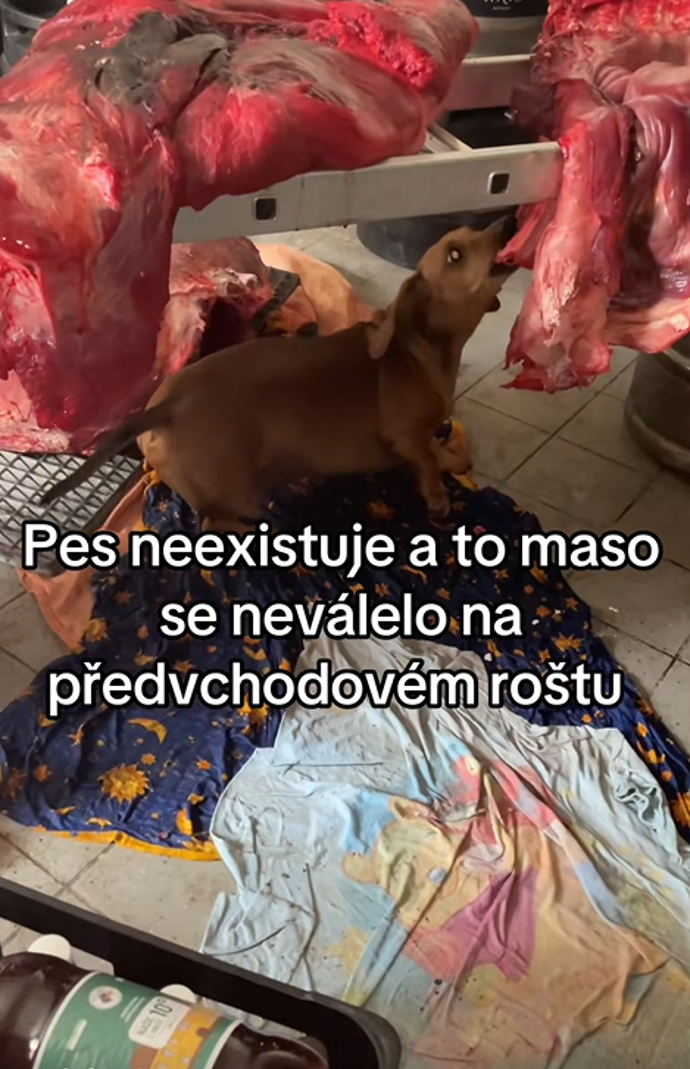 FOTO: V pivovaru Jiřího Janečka se dějí věci. – stránka 206
