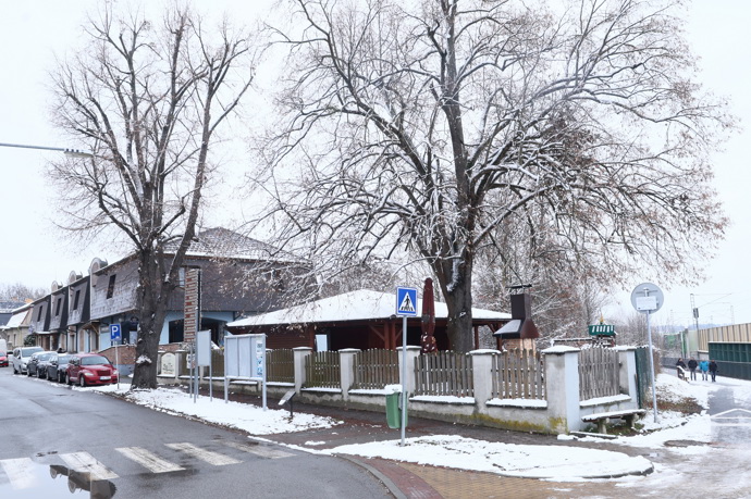 FOTO: V druhém díle Ano šéfe! zamířil Zdeněk Pohlreich do Restaurace Trilobit. – stránka 41