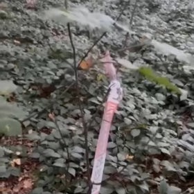 Prostor, kde policisté nalezli tělo pohřešované maminky, zůstal označený policejní páskou.